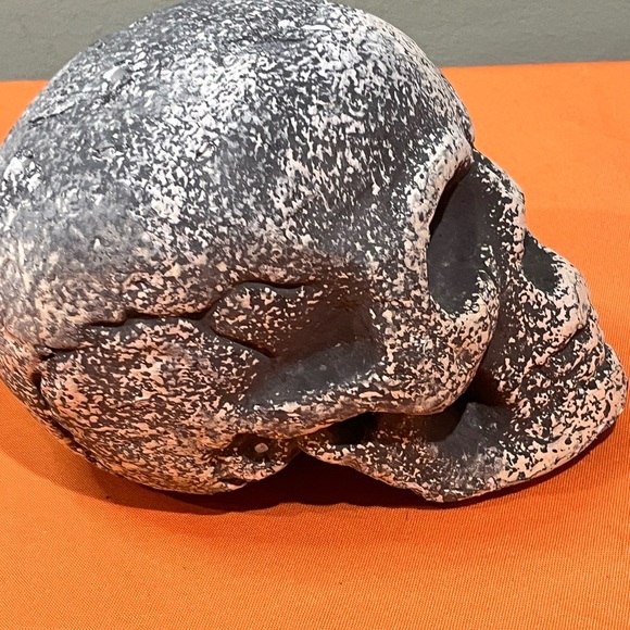 Gray and White Skull Decor Set - Picture 12 of 15